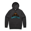Team Hoodie